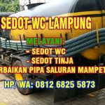sedot wc lampung