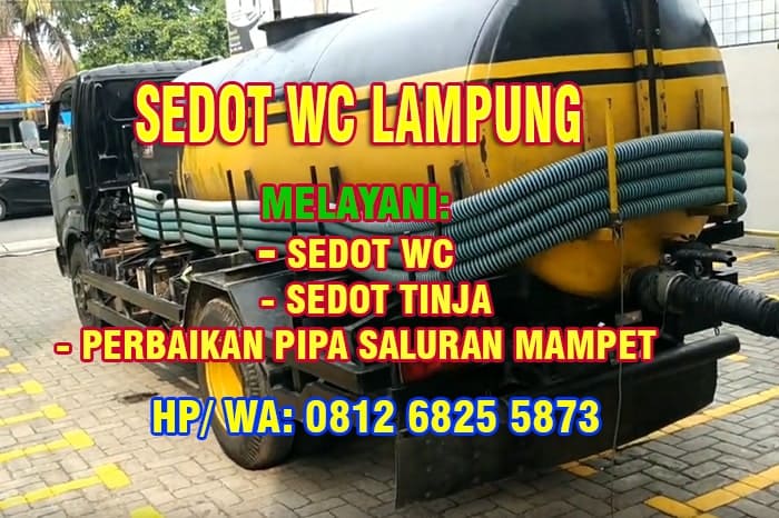 sedot wc lampung
